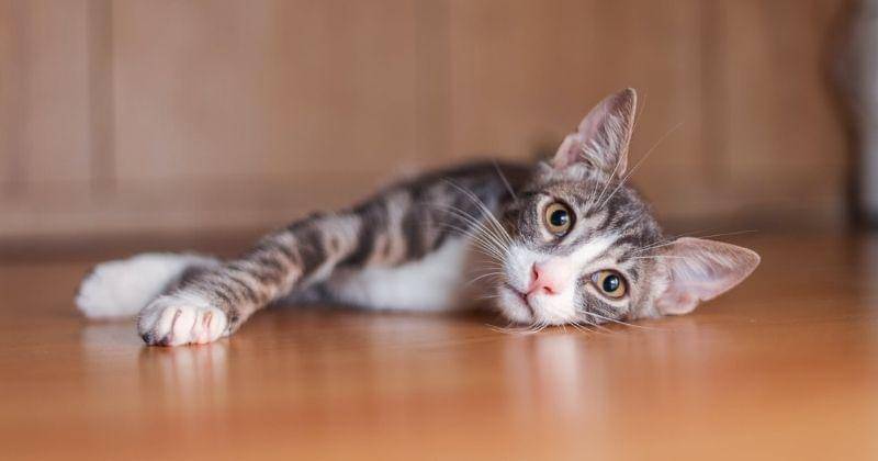 Pexels/Şeyda Nur Uğur